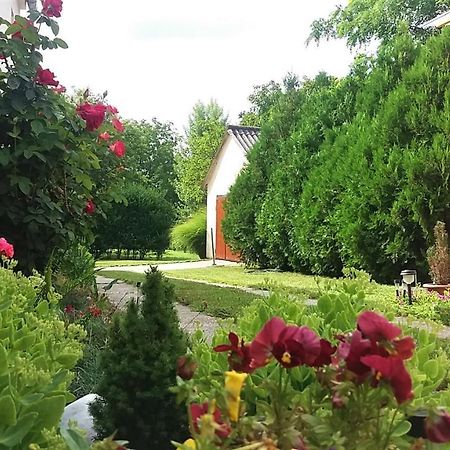 Hotel Julia Vendeghaz Sarrod Zewnętrze zdjęcie