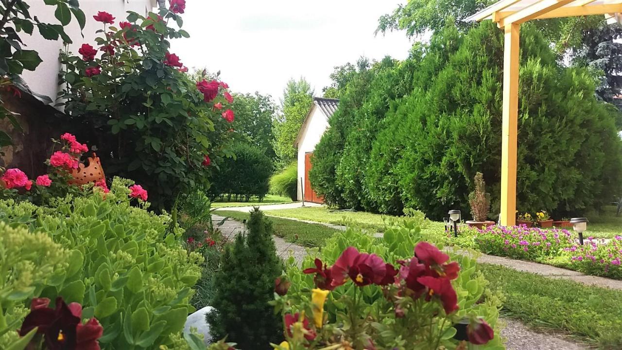 Hotel Julia Vendeghaz Sarrod Zewnętrze zdjęcie