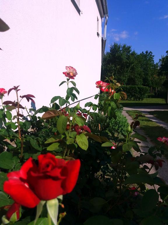 Hotel Julia Vendeghaz Sarrod Zewnętrze zdjęcie