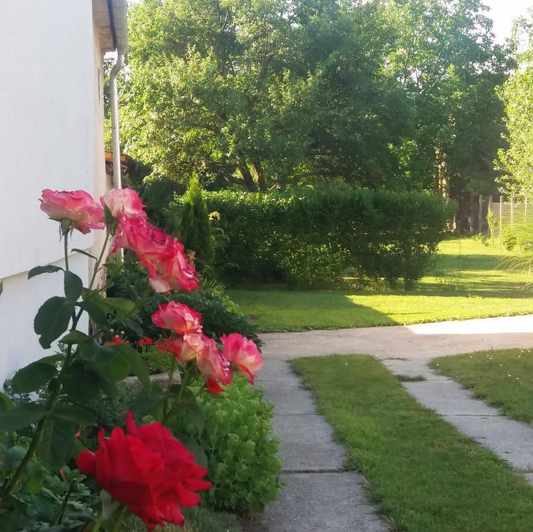 Hotel Julia Vendeghaz Sarrod Zewnętrze zdjęcie